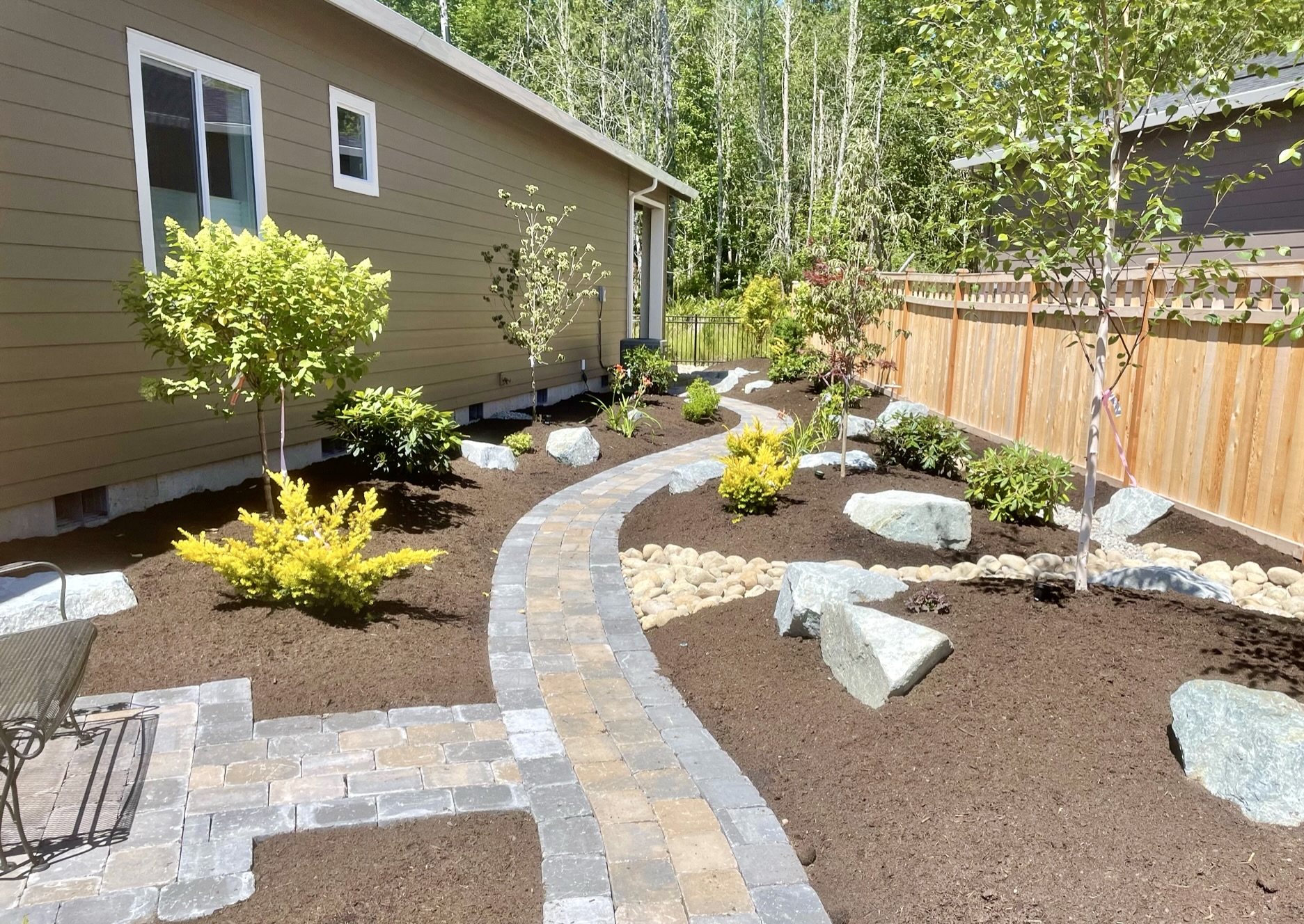 Backyard paver walkway with plantings by Todd's Landscaping in Puyallup