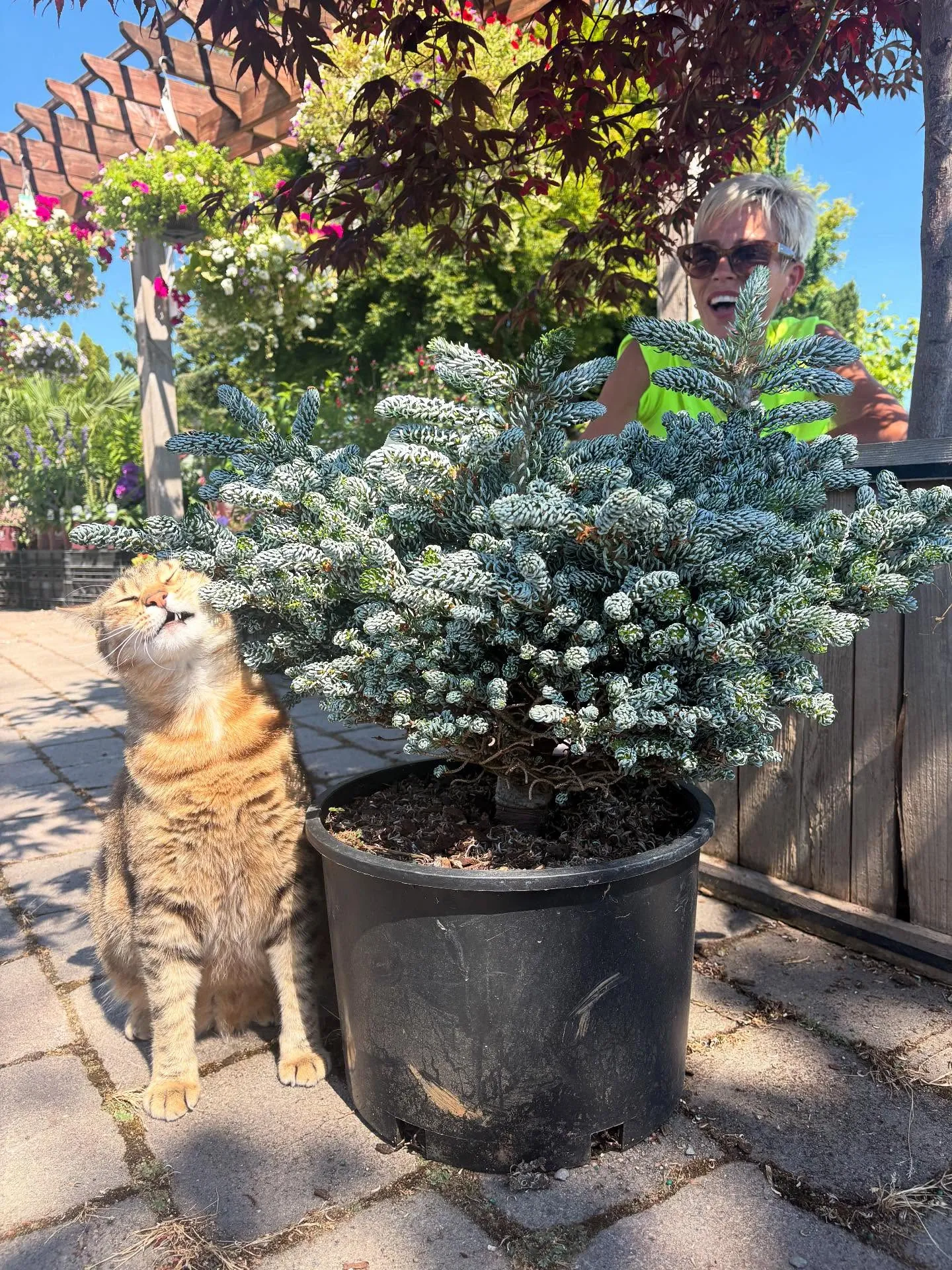 Todd's Nursery team members